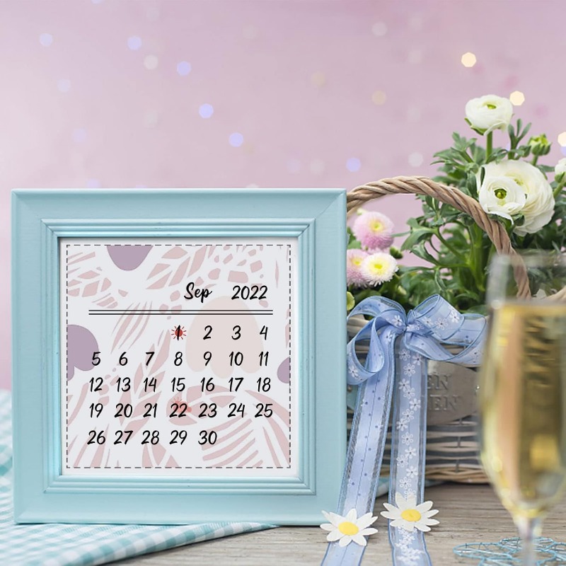 Timbres transparents en Silico - Rubber Date Stamp avis et prix